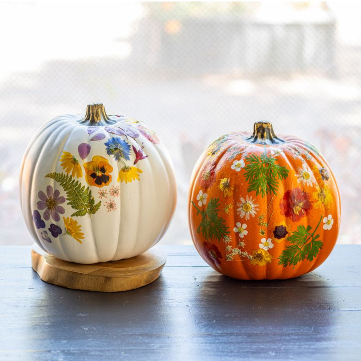 Botanical Pumpkin Workshop - Sunday, October 12, 2025 at 2:00 PM