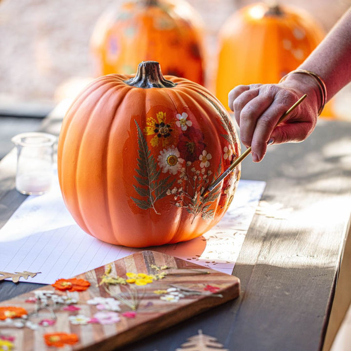 Pressed Botanical Pumpkin Workshop - Sunday, September 14, 2025 at 12:00 PM